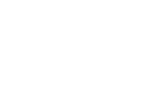 Marriott International Hotel Excellence